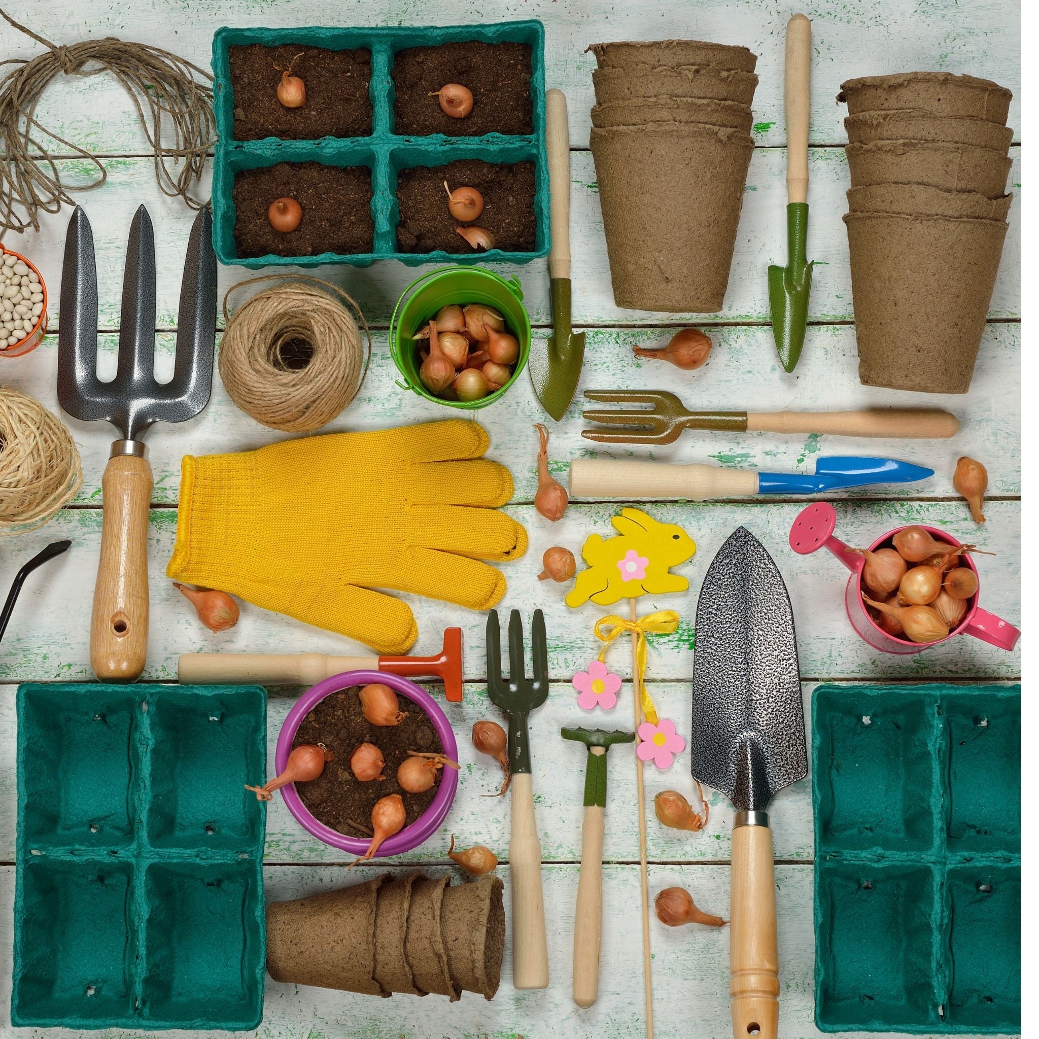 Jardinage & Extérieur